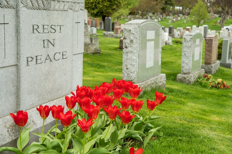 Photo of cemetery with roses