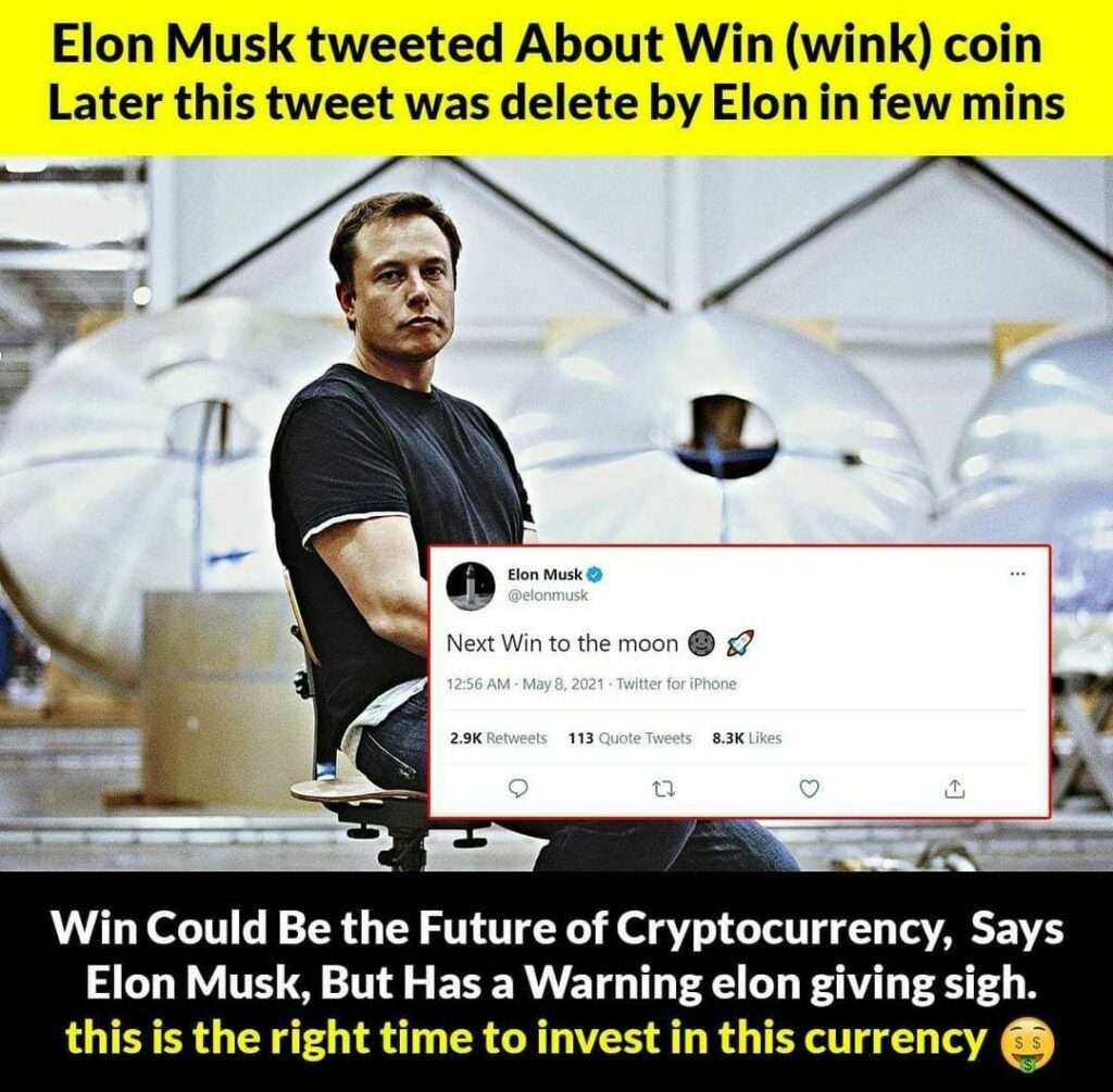 Elon Musk Wink Coin